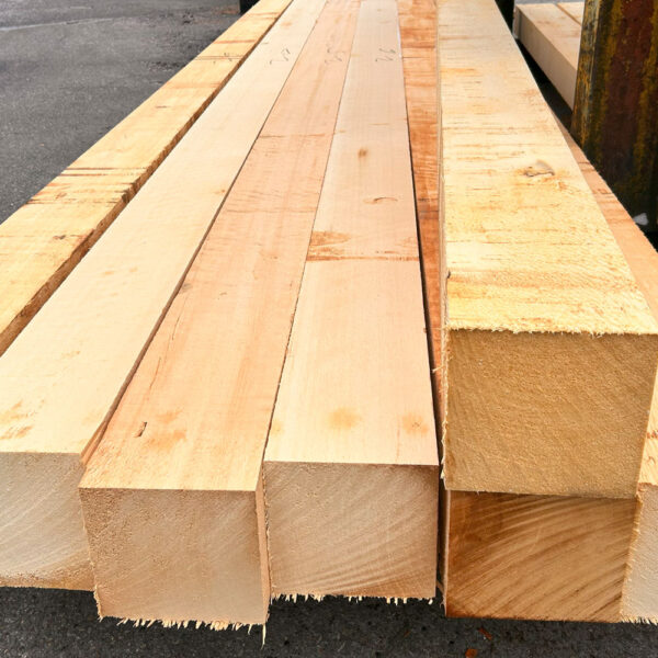 Cedar Wood